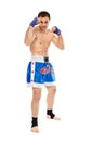Kickboxer in guard stance Royalty Free Stock Photo