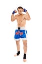 Kickboxer in guard stance Royalty Free Stock Photo