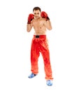 Kickboxer in guard stance Royalty Free Stock Photo