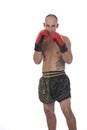 Kickboxer with guard up Royalty Free Stock Photo