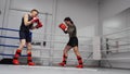 Kickboxers Fight Train Sport Ring Workout Session