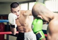 Kickboxers training on the ring Royalty Free Stock Photo