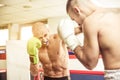 Kickboxers training on the ring Royalty Free Stock Photo