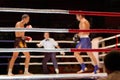 Kickboxing fight