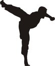 Kicking karate fighter silhouette Royalty Free Stock Photo