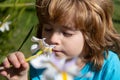 Kid allergie on flowers. Spring boy sniffs blooming flower. Happy childhood. Cute child in blossom garden.