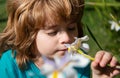 Kid allergie on flowers. Spring boy sniffs blooming flower. Happy childhood. Cute child in blossom garden. Royalty Free Stock Photo