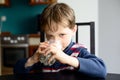 Kid boy drinking milk Royalty Free Stock Photo