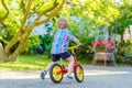 Kid boy driving tricycle or bicycle in garden Royalty Free Stock Photo