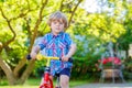 Kid boy driving tricycle or bicycle in garden Royalty Free Stock Photo