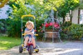 Kid boy driving tricycle or bicycle in garden Royalty Free Stock Photo