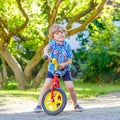 Kid boy driving tricycle or bicycle in garden Royalty Free Stock Photo