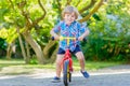 Kid boy driving tricycle or bicycle in garden Royalty Free Stock Photo