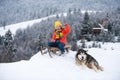 Kid boy enjoy a sleigh ride. Kid sledding in winter snow outdoor. Christmas family vacation. Child boy ride on a wooden Royalty Free Stock Photo