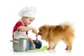 Kid boy plays chef with dog. Child weared cook feeds Spitz puppy.