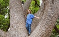 Kid boy resting on a large tree. A young child climbs a tree. Royalty Free Stock Photo