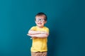 Kid boy show his hand up eager to answer question Royalty Free Stock Photo