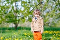 Kid boy in spring garden with blooming apple trees Royalty Free Stock Photo