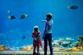 Kid boy and toddler girl visiting together zoo aquarium. Two children watching fishes, corals and jellyfishes. School Royalty Free Stock Photo