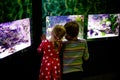 Kid boy and toddler girl visiting together zoo aquarium. Two children watching fishes, corals and jellyfishes. School Royalty Free Stock Photo