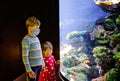 Kid boy and toddler girl visiting together zoo aquarium. Two children watching fishes, corals and jellyfishes. School Royalty Free Stock Photo