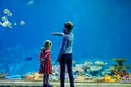 Kid boy and toddler girl visiting together zoo aquarium. Two children watching fishes, corals and jellyfishes. School Royalty Free Stock Photo