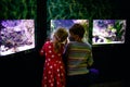 Kid boy and toddler girl visiting together zoo aquarium. Two children watching fishes, corals and jellyfishes. School Royalty Free Stock Photo