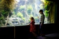 Kid boy and toddler girl visiting together zoo aquarium. Two children watching fishes, corals and jellyfishes. School Royalty Free Stock Photo