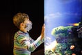 Kid boy wearing medical mask and visiting zoo aquarium. Happy baby child watching fishes and jellyfishes, corals Royalty Free Stock Photo