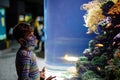 Kid boy wearing medical mask and visiting zoo aquarium. Happy baby child watching fishes and jellyfishes, corals Royalty Free Stock Photo