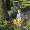 The kid is carrying a toy garden cart in a country house Royalty Free Stock Photo