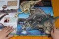 Kid checking a Spinosaurus and a skeleton against a book with details of the same dinosaur