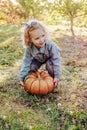 Kid child girl trying to raise huge pumpkin outdoor. Halloween pumpkin in autumn street in children hands of Caucasian blonde