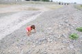 Kid climbing the hill in dried river bed in Middle Asia Kazakhstan