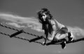 Kid climbing the net. Cute boy climbs up the ladder on the playground. Child climbs up the ladder against the blue sky. Royalty Free Stock Photo