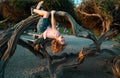 Kid climbing tree. Caucasian boy happily lying upside down in a tree hugging a big branch. Royalty Free Stock Photo