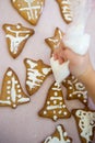 Kid decorates Christmas cookies Royalty Free Stock Photo