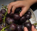 Kid eating grapes Royalty Free Stock Photo