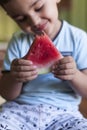 Kid eats fruit in the kitchen. A little boy holding a slice of water melon. happy boy kid eating watermelon Royalty Free Stock Photo