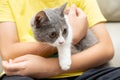 A kid embracing a lovely british shorthair cat