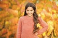 Kid enjoy autumn outdoors. Meet autumn. Little girl smiling happy cute child gorgeous long hair maple leaves. Cozy