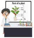 Kid explaining parts of plant