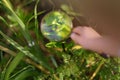 Kid exploring nature with magnifying glass. Little boy looking at beetle with magnifier. Close up