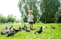 Kid is feeding pigeons in city park outdoors.Little baby girl running near doves. chasing pigeons, happy smiling child Royalty Free Stock Photo