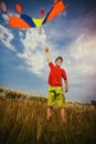 Kid flies a kite into the blue sky Royalty Free Stock Photo