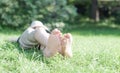 Kid on green grass in the park