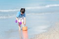 Kid girl have fun and playing sand and water at tropical beach. Family child tourism travel enjoy and freedom in summer and holida