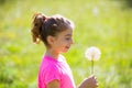 Kid girl looking dandelion flower in green meadow Royalty Free Stock Photo