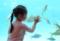 Kid girl looking fishes in aquarium tank Royalty Free Stock Photo