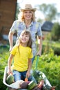 Kid girl and mother in domestic garden. Happy child and mom push the wheelbarrow with harvest. Healthy organic